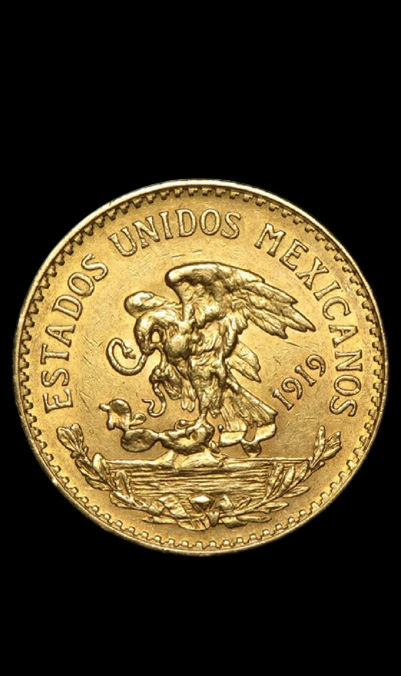 20 Pesos 22k (21.6k) Gold Coin Random Year - Image 2